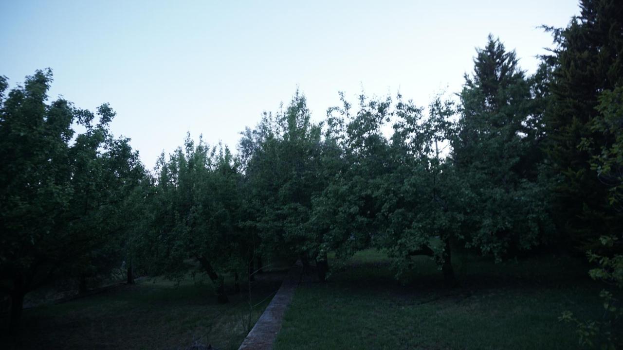 Kavet Palio Cottage PalaiónTsiflíkion Buitenkant foto
